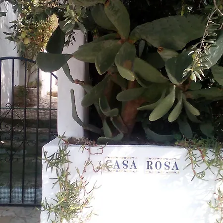 Casa Rosa 3*